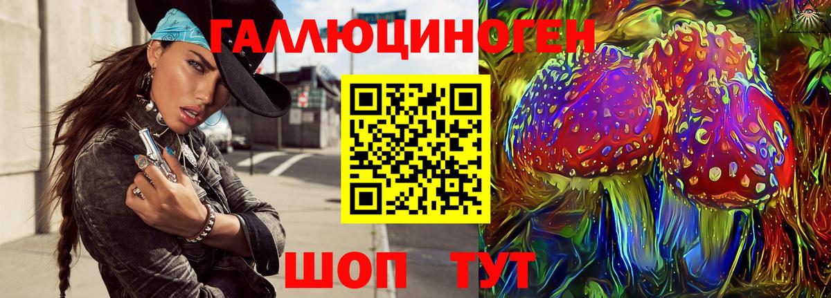 дарнет шоп  Вход с VPN  Спасск-Дальний  Псилоцибиновые грибы Magic Shrooms 